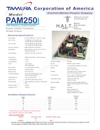 PAM250-8 Datenblatt Cover