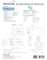 PAM250-8 Datasheet Page 2