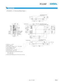 PCA1000F-48-C Datasheet Page 5