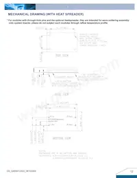 Q48SH12033NRFH Datasheet Page 12