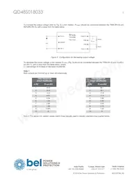 QD48S018033-NS00 Datasheet Page 5