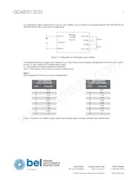 QD48T012033-PBC0G Datasheet Page 5