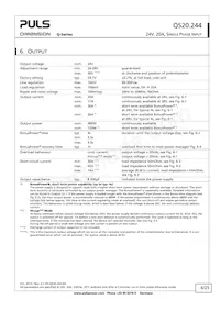 QS20.244 Datasheet Page 6