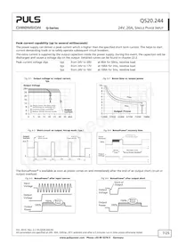 QS20.244 Datasheet Page 7