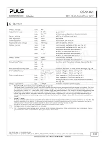 QS20.361 Datasheet Page 6