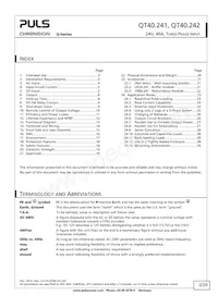 QT40.242 Datasheet Page 2