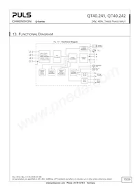 QT40.242 Datasheet Page 13