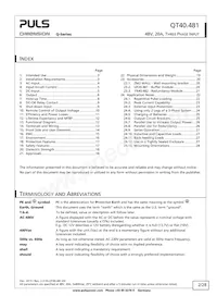 QT40.481 Datasheet Page 2