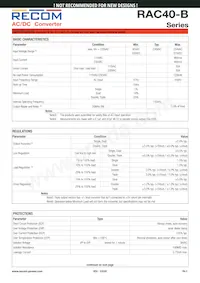 RAC40-0515TB-ST Datasheet Pagina 2