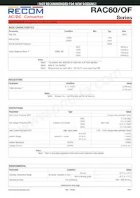 RAC60-15S/OF Datasheet Page 2