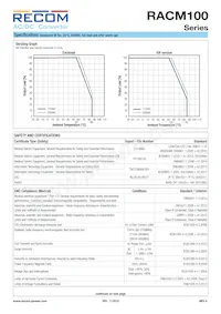 RACM100-48S/OF Datasheet Page 4