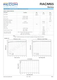 RACM65-05S-ST Datasheet Pagina 2