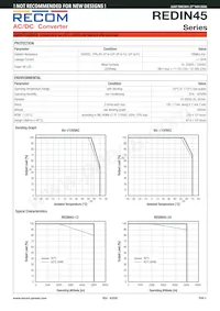 REDIN45-12 Datasheet Page 3