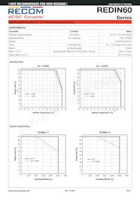 REDIN60-12 Datasheet Page 3