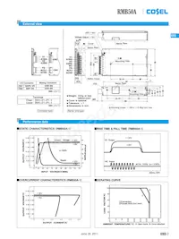 RMB50A-2-N Datasheet Page 6