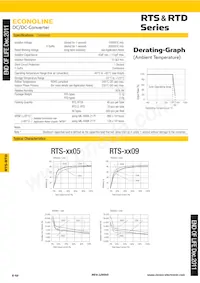 RTS-243.3-R Datasheet Pagina 2