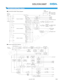 SCHA10000T-48-Y1 Datasheet Page 3
