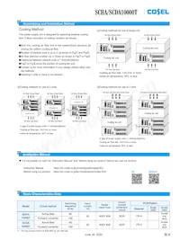 SCHA10000T-48-Y1 Datasheet Page 9