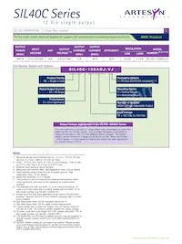 SIL40C-12SADJ-VJ Datasheet Page 2