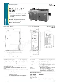 SLR2.100 Datasheet Page 3