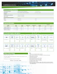 SMT80C2-00SADJJ Datasheet Pagina 2