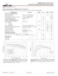 SQM48T25010-NCB0 Datasheet Page 20