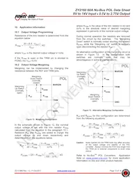 ZY2160G-R1 Datasheet Pagina 13