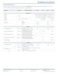 BCM380P475T1K2A31 Datenblatt Seite 14