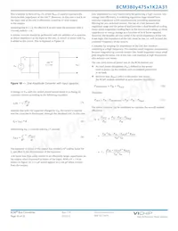 BCM380P475T1K2A31 Datenblatt Seite 19