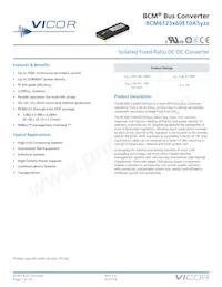 BCM6123T60E10A5T00 Datasheet Cover
