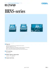 BRNS20 Datasheet Cover
