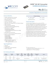 DCM4623TD2K04A5M00 Datasheet Cover