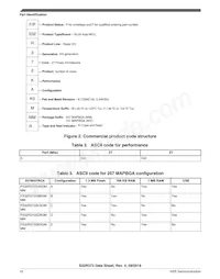 FS32R372SDK0MMM Datasheet Page 10