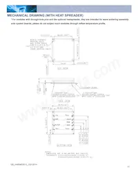 H48SA53010NNFH Datasheet Pagina 11