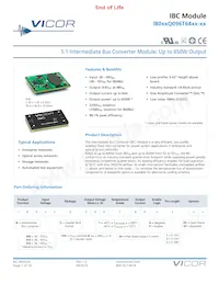 IB050Q096T64N1-00 Datenblatt Cover