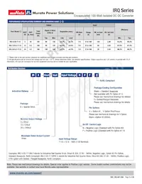 IRQ-24/4.2-T110NVF-C Datasheet Page 2