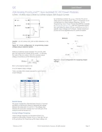PKX020A0X3-SRZ Datasheet Page 13
