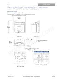 PKX020A0X3-SRZ Datasheet Page 19