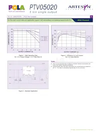 PTV05020WAD Datasheet Page 3