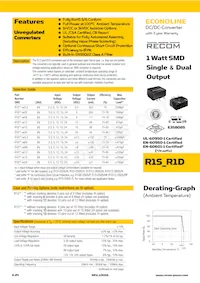 R1D12-243.3/HP Datasheet Cover