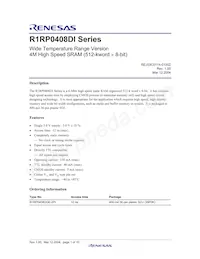 R1RP0408DGE-2PI#B0 Datasheet Page 3