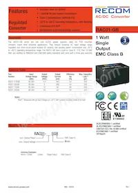 RAC01-3.3SGB Datasheet Copertura