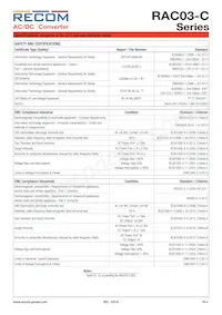 RAC03-09SC Datasheet Page 4
