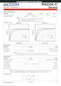 RAC04-09SC Datasheet Page 2
