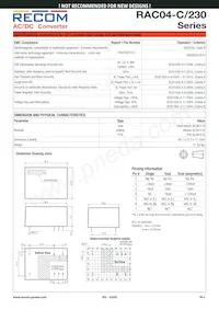 RAC04-12DC/230 Datasheet Page 5