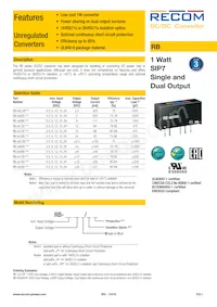 RB-243.3D/HP Datenblatt Cover