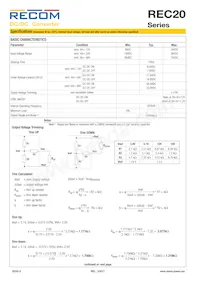 REC20-4815D Datasheet Page 2