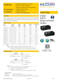 RGZ-3.33.3D/HP Datasheet Cover