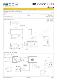 RKZ-242005D/HP Datasheet Pagina 4