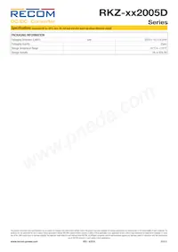 RKZ-242005D/HP Datasheet Page 5